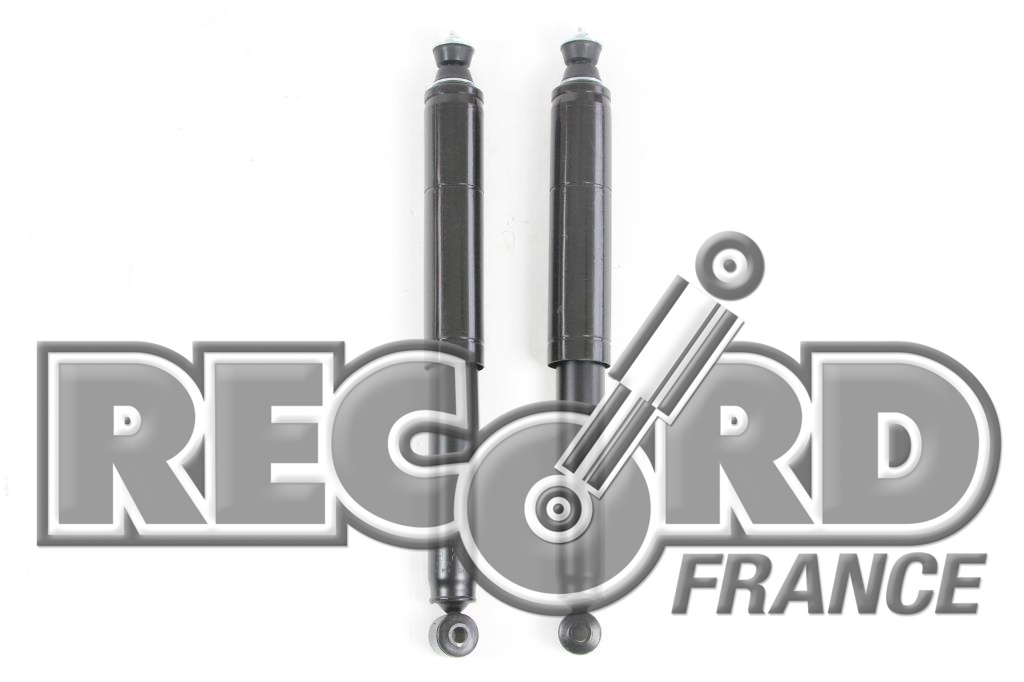Amortisseur arriere RECORD 104810
